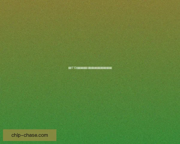 鬼泣110级加点刷图攻略 提升输出效率与生存能力的全面分析